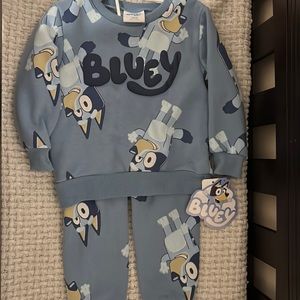 Bluey outfit